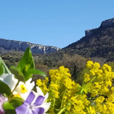 Un Petit Coin De Paradis Hébergement de vacances