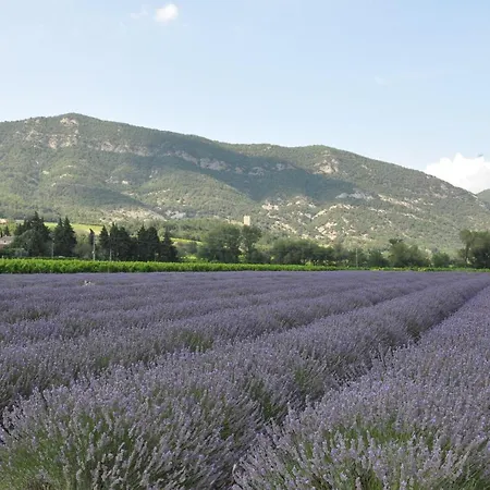 Hébergement de vacances Un Petit Coin De Paradis *